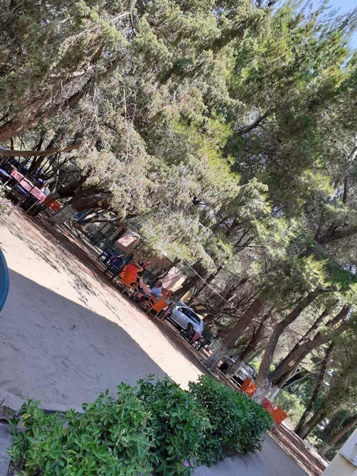 Divjaka Park Exteriér fotografie